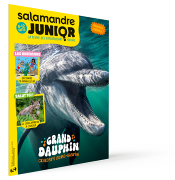 SAJ161_couv_ABO_3D_G_300dpi