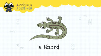 Apprends à dessiner le lézard avec sam la petite salamandre