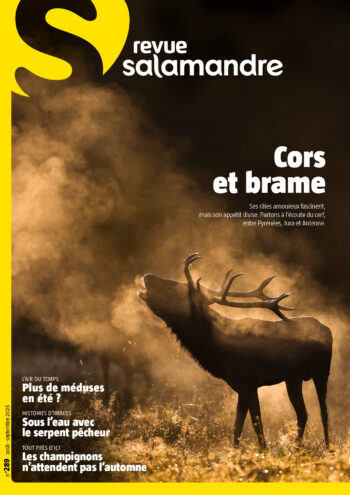 Couverture de La Salamandre n°289