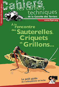 À la rencontre des sauterelles, criquets et grillons