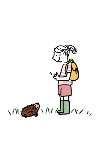 Illustration débat petite salamandre 61 animaux sauvages