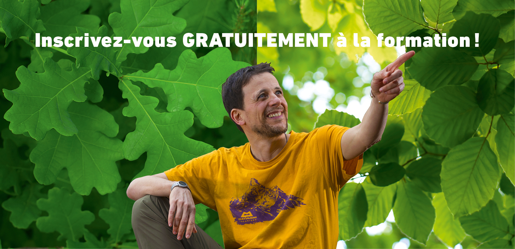 Salamandre newsletter