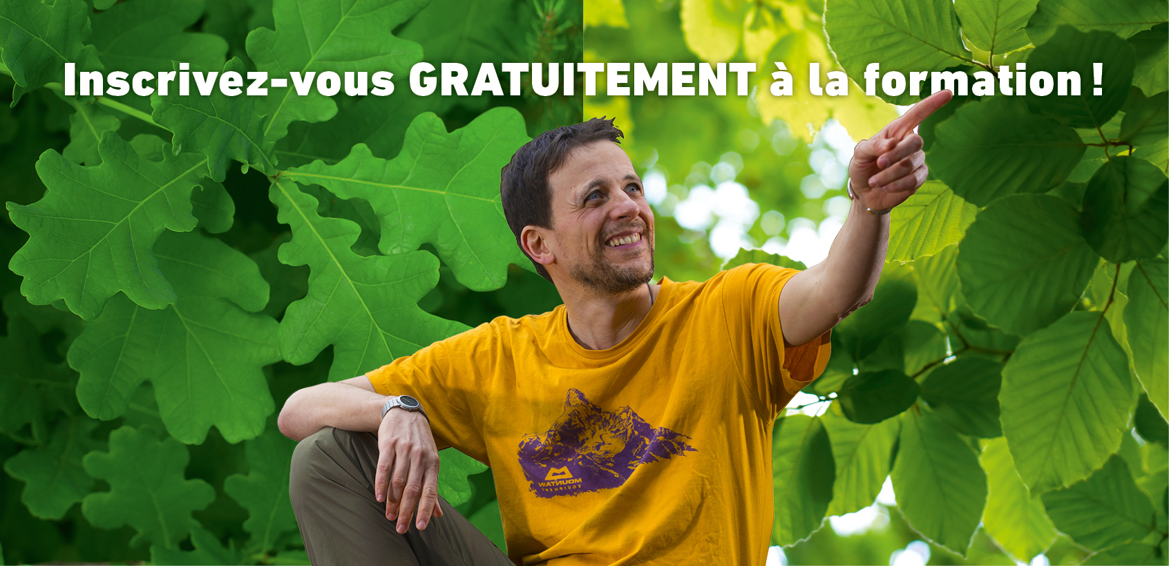 Salamandre newsletter