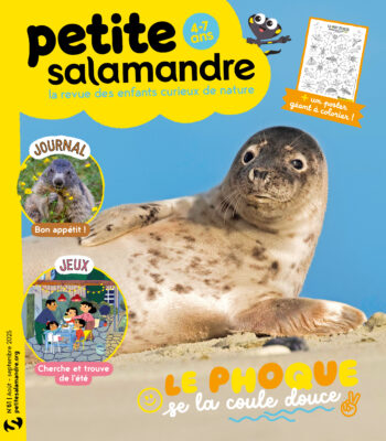 Couverture de La Petite Salamandre n°61