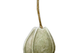 Le fruit du tilleul à larges feuilles mesure entre 8 et 10 mm