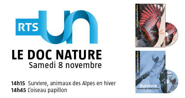 Survivre et L'oiseau papillon samedi 8 novembre 2014 sur RTS Un Le doc nature sur RTS Un samedi 8 novembre 2014